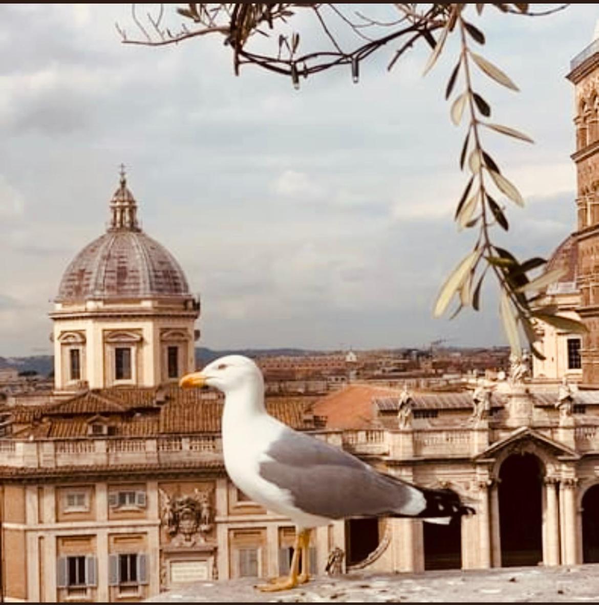 Affittacamere Esquiline Roma